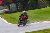PJ-Motorsport-Photography-2020;anglesey;brands-hatch;cadwell-park;croft;donington-park;enduro-digital-images;event-digital-images;eventdigitalimages;mallory;no-limits;oulton-park;peter-wileman-photography;racing-digital-images;silverstone;snetterton;trackday-digital-images;trackday-photos;vmcc-banbury-run;welsh-2-day-enduro